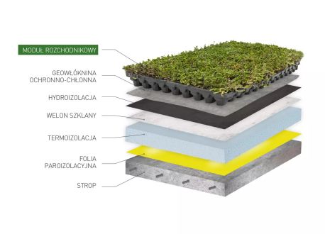 przykład wykonania dachu zielonego za pomocą gotowych modułów rozchodnikowych