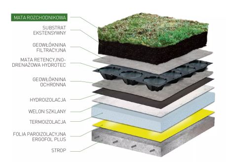 mata rozchodnikowa na dachy zielone - zastosowanie